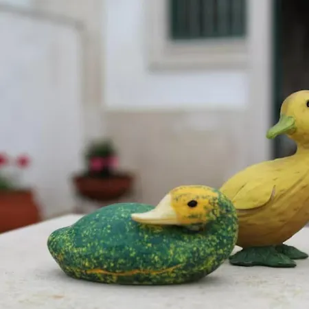 Casa Dos Limoes *