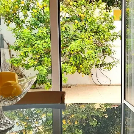 Pensión Casa Dos Limoes Caldas Da Rainha